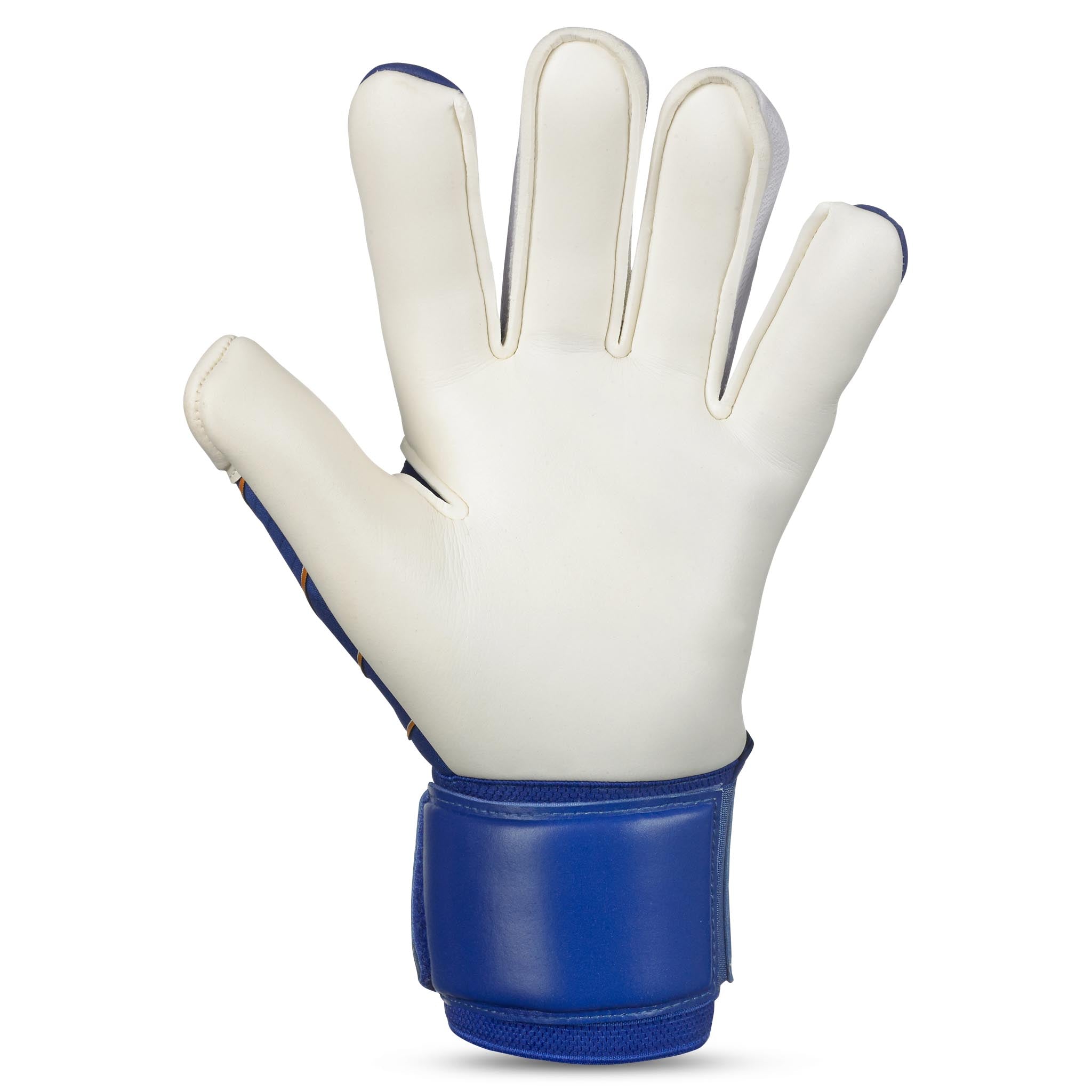 Goalkeeper gloves - 55 Extra Force #colour_blue/white