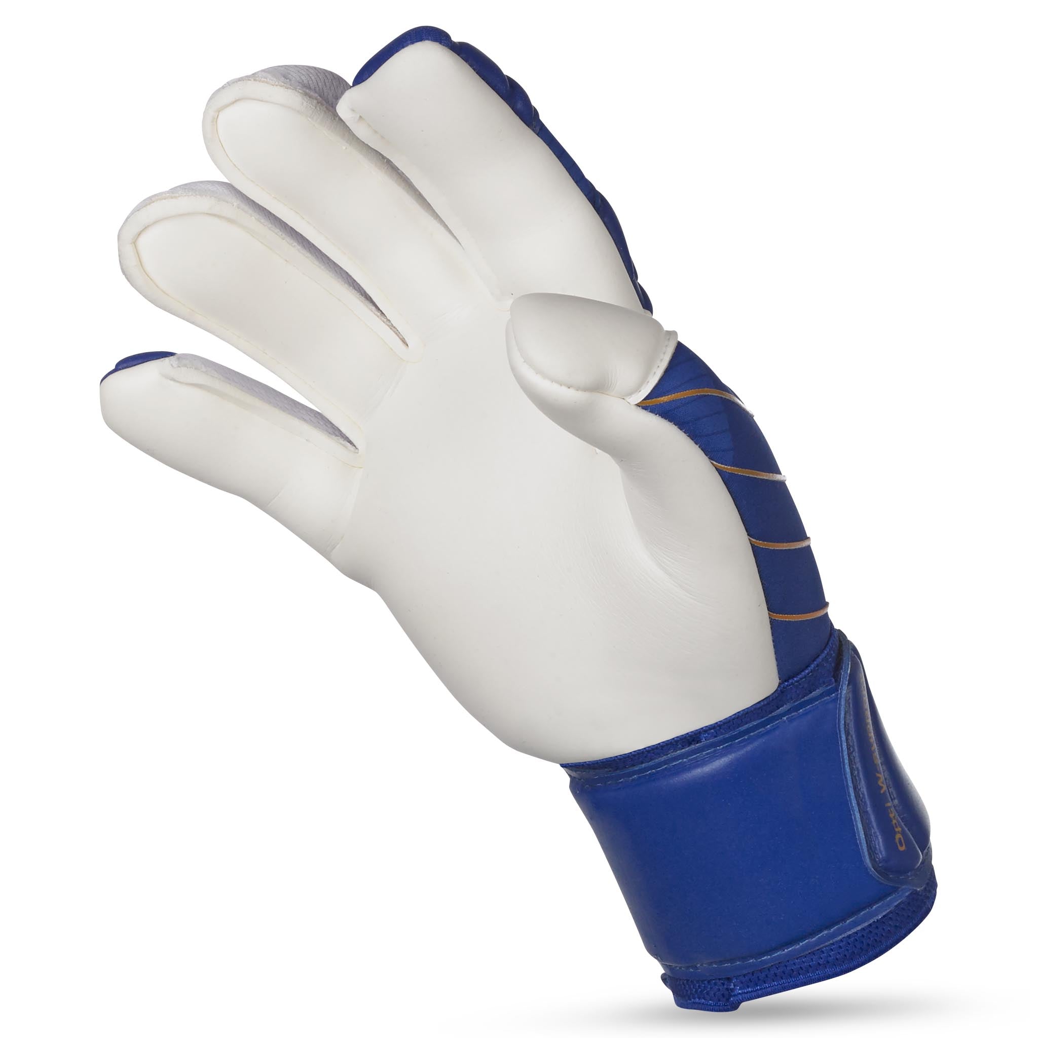 Goalkeeper gloves - 55 Extra Force #colour_blue/white #colour_blue/white