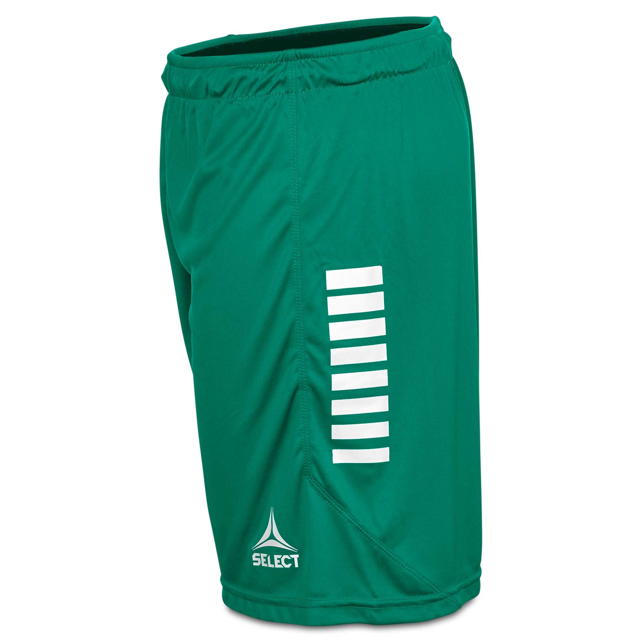Monaco Player shorts #colour_green/white #colour_green/white