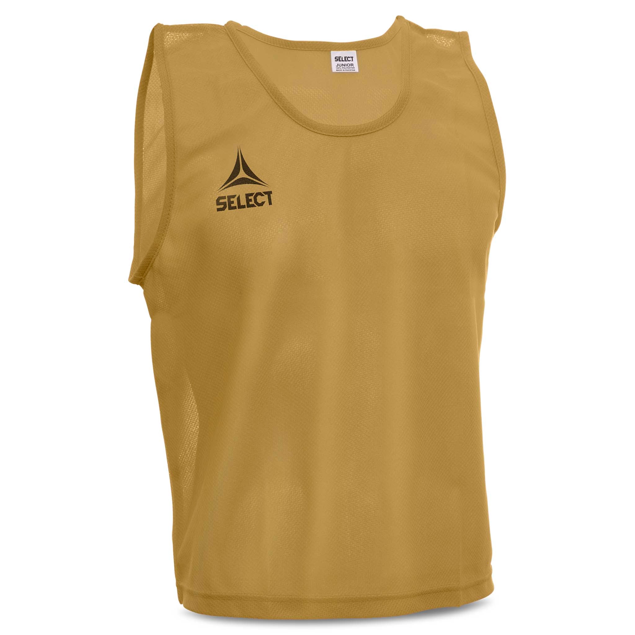 Front page of gold Bib Basic Select football accessories with black Select logo.