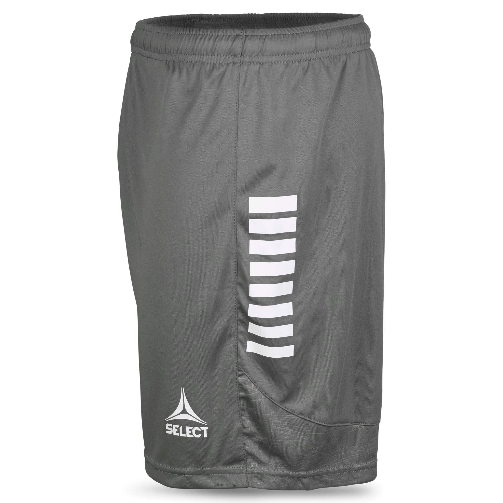 Player shorts Spain v25, grey with white details, Match & Training wear, left-side view