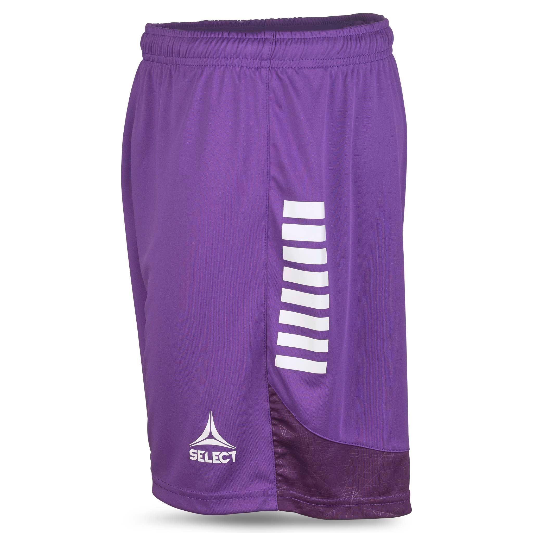 Player shorts Spain v25, purple with white stripes, Match & Training wear, left-side view