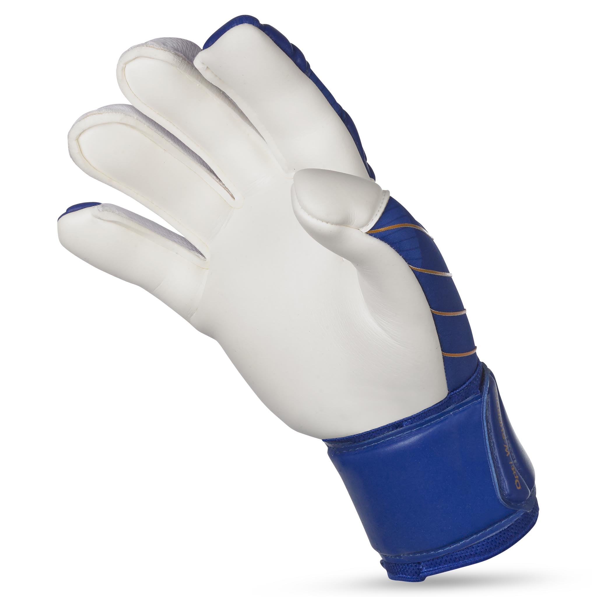 Goalkeeper gloves - 55 Extra Force #colour_blue/white
