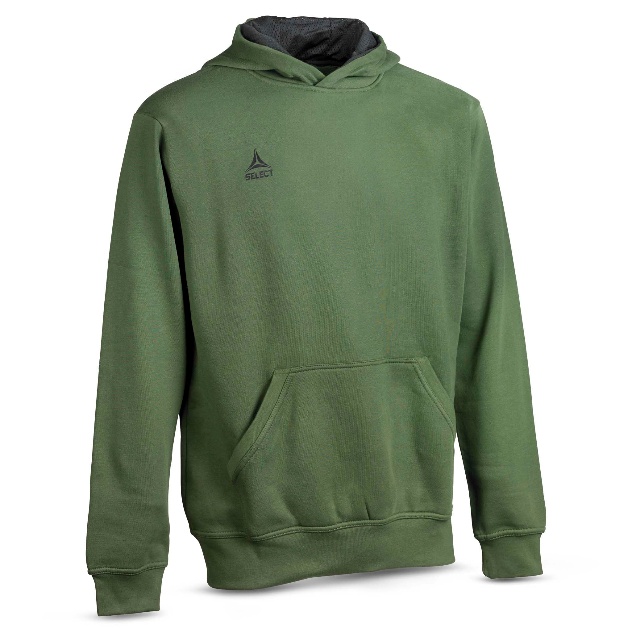 Front page of green Hoodie Basic Select v24, leisure wear with dark hood lining and front pocket